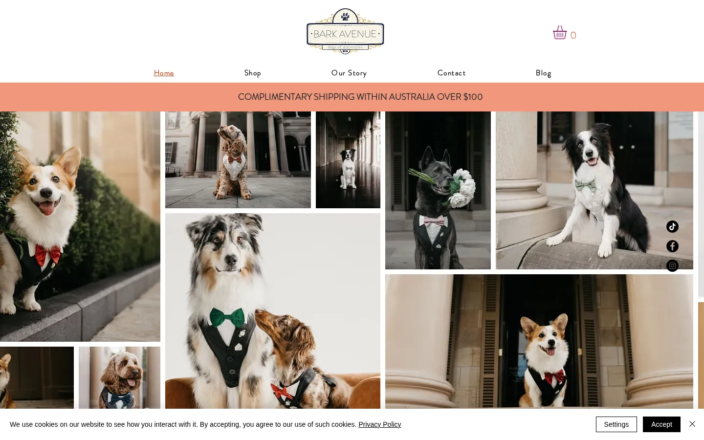 Bark Avenue Design website home page, a pet services site built on Wix by CTRL ROOM
