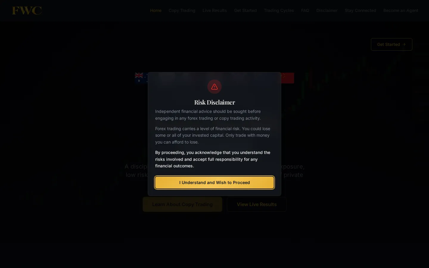 Forex Wealth Creator website home page, a finance site custom-built by CTRL ROOM